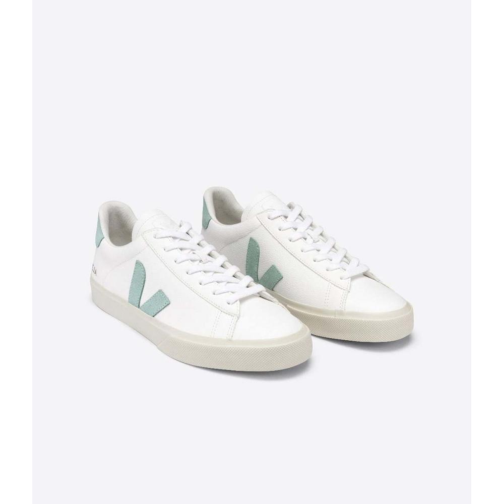 Veja CAMPO CHROMEFREE Low Tops Sneakers Herre White/Green | NO 196NWY